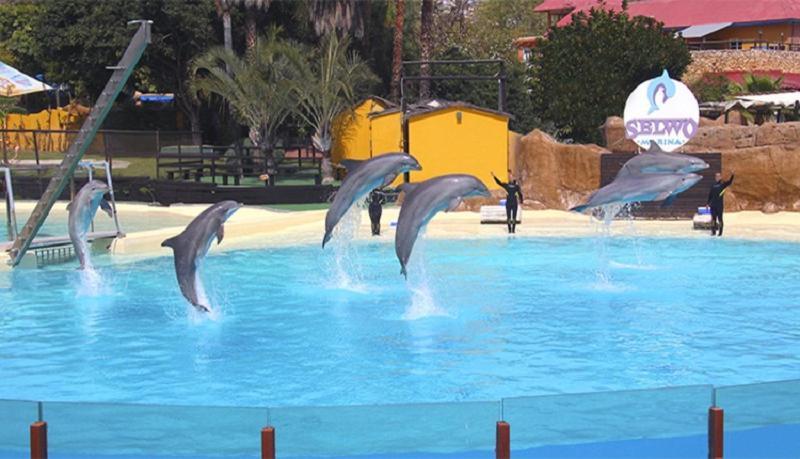 Paseo Maritimo Los Boliches. Fuengirola Ngoại thất bức ảnh